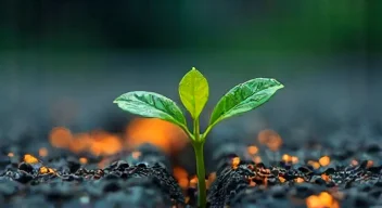 Kleine Maßnahme, großer Effekt (6/10)